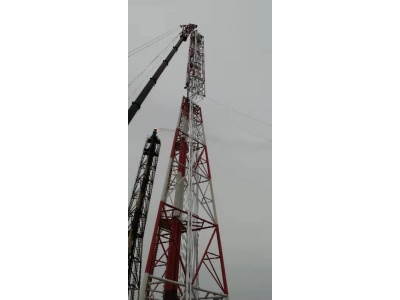 大連錦源-高架火炬圖片3